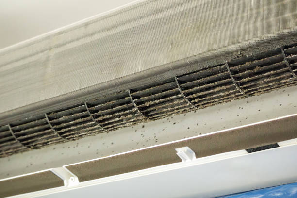 Best Air Duct Cleaning Near Me  in Salisbury, NC
